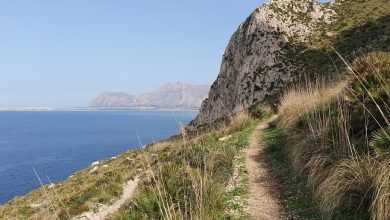 Sentiero costiero della Riserva di Monte Cofano. Piante verdi e rocce. Sullo sfondo mare e i monti di Macari.