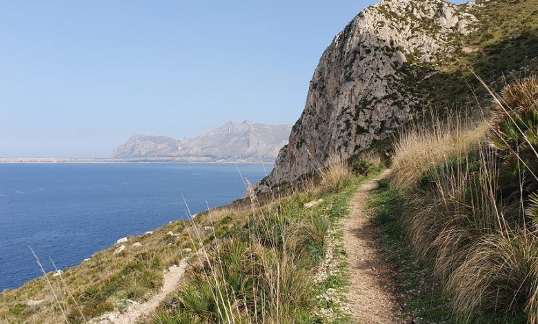 Sentiero costiero della Riserva di Monte Cofano. Piante verdi e rocce. Sullo sfondo mare e i monti di Macari.