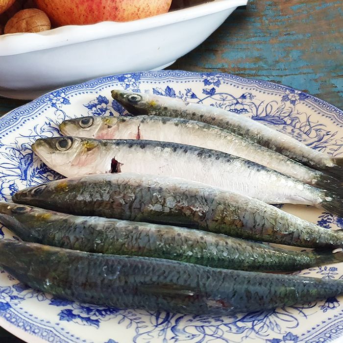 Sarde