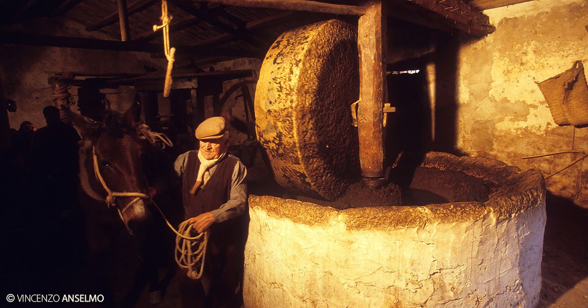 C’erano Una Volta... Gli Antichi Frantoi Oleari Siciliani.