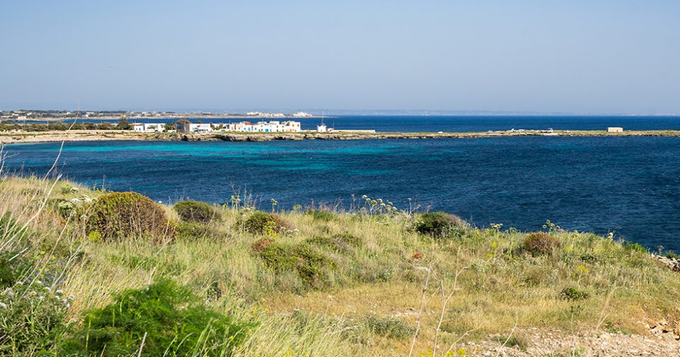 Punta Longa. Mare azzurro contornato da scogli e fitta vegetazione.